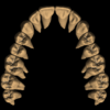 ANNE – Image 3