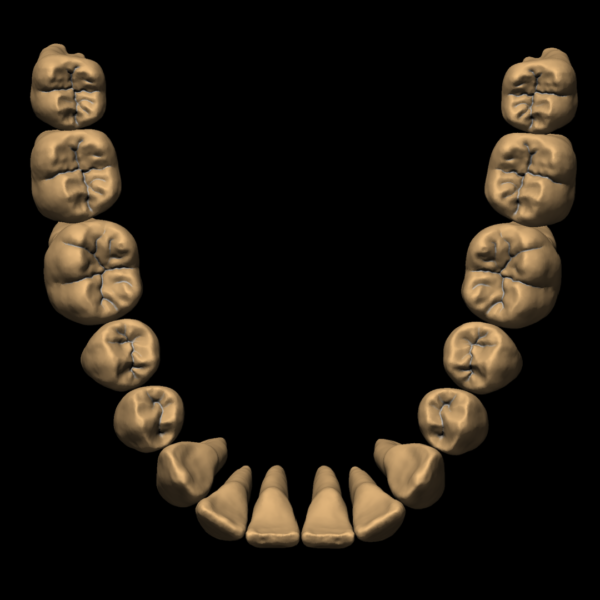 ANNE - Image 6