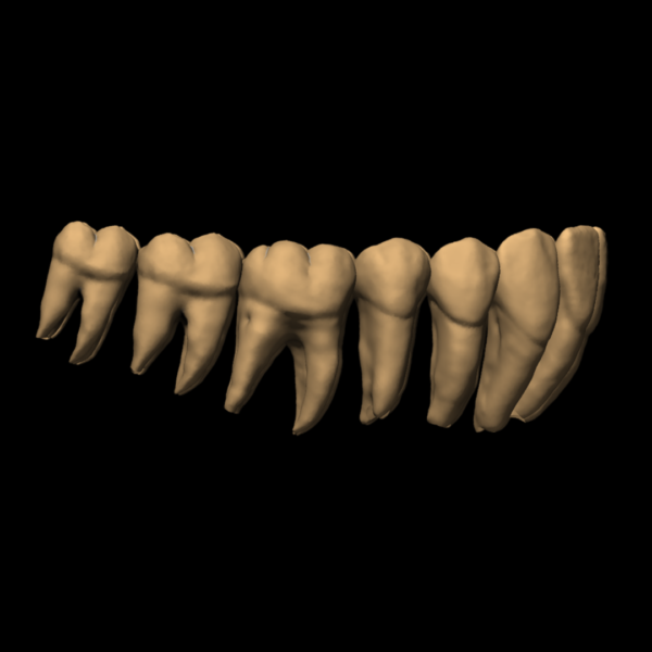 ANNE - Image 7