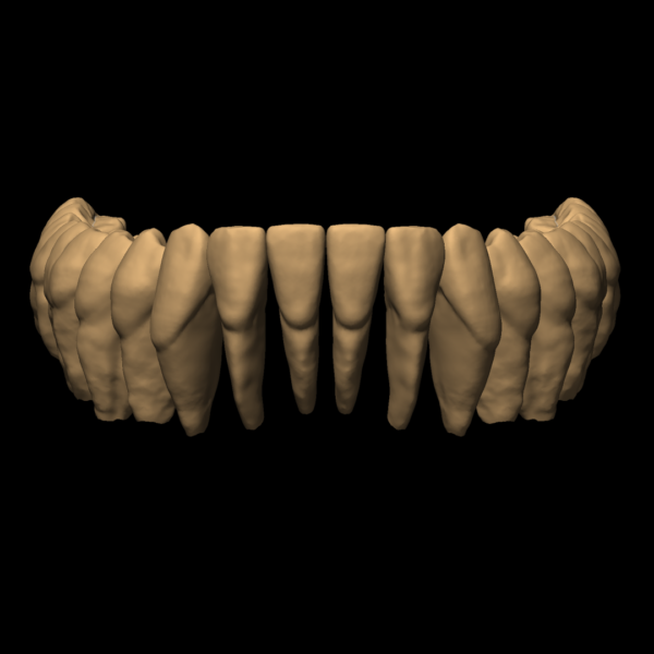 LUKAS – Image 5