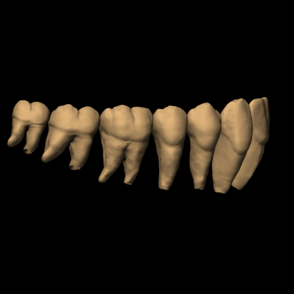 LUKAS – Image 7
