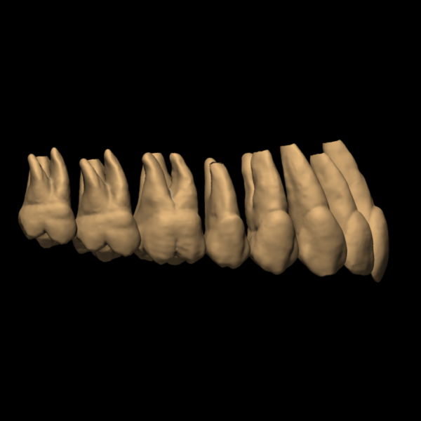 LUKAS – Image 4
