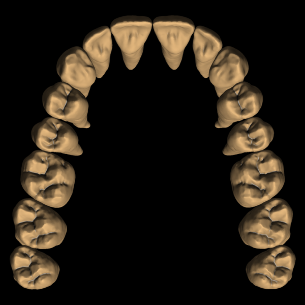 LUKAS – Image 3
