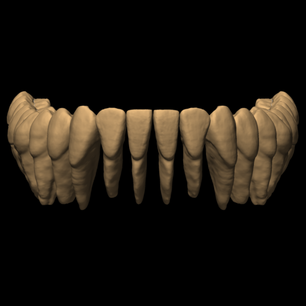 MAGALIE - Image 5