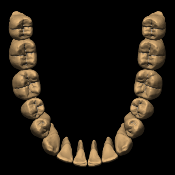 MAGALIE - Image 6
