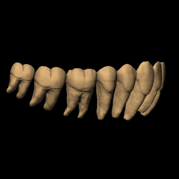 MAGALIE - Image 7