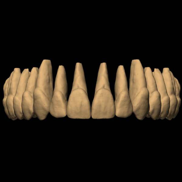 MAGALIE - Image 2