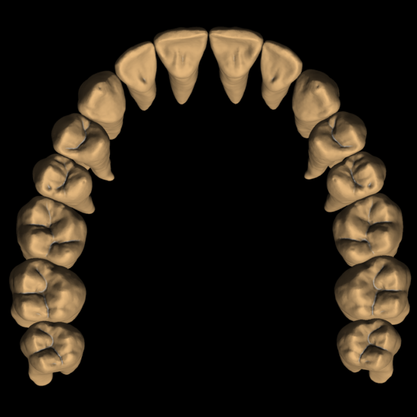 MAGALIE - Image 3
