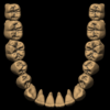 PRADIP - Image 6
