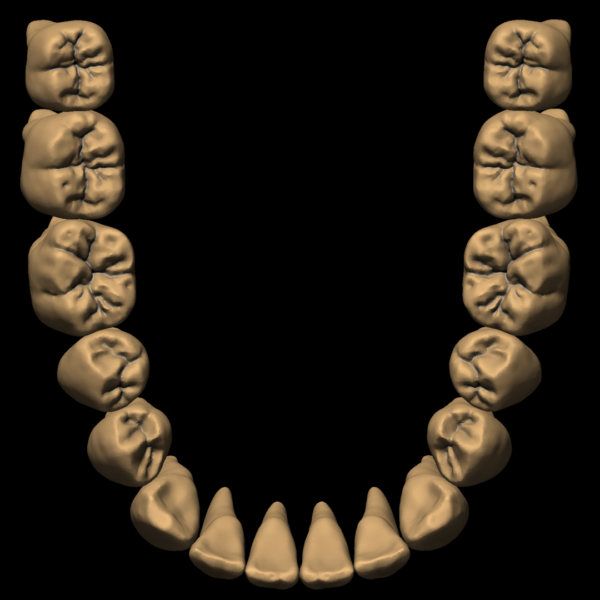 PRADIP - Image 6