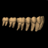 PRADIP - Image 7