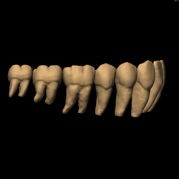 PRADIP - Image 7