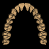 PRADIP - Image 3