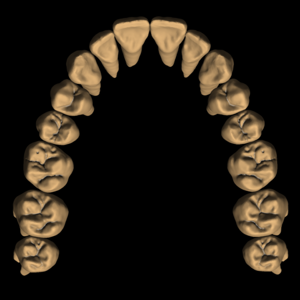 PRADIP - Image 3