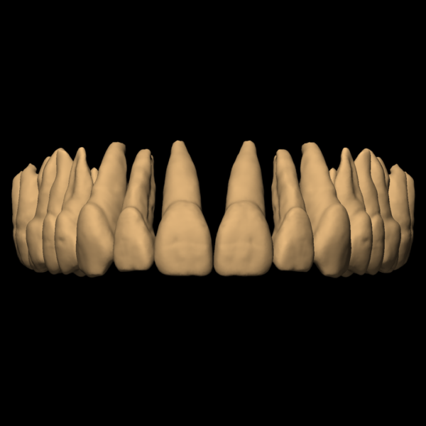 YANN - Image 2