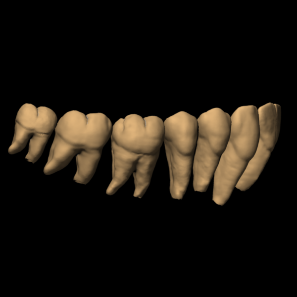 YANN - Image 7