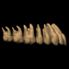 YANN – Image 4