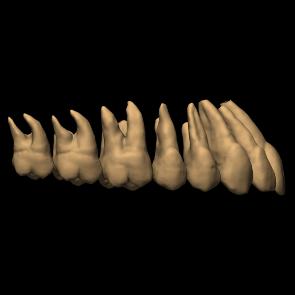 YANN - Image 4