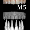 ANTERIORES MALE LIBRARY - Image 6