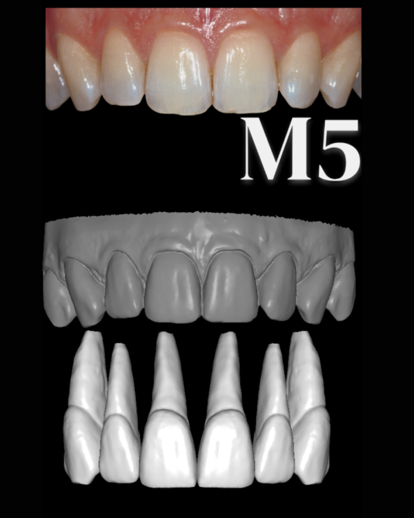ANTERIORES MALE LIBRARY - Image 6