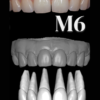 ANTERIORES MALE LIBRARY - Image 7