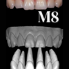 ANTERIORES MALE LIBRARY - Image 9