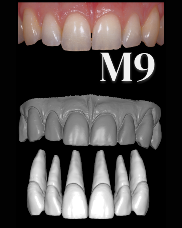ANTERIORES MALE LIBRARY - Image 10