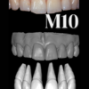 ANTERIORES MALE LIBRARY - Image 11