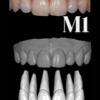 ANTERIORES MALE LIBRARY - Image 2