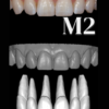 ANTERIORES MALE LIBRARY - Image 3